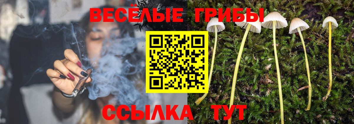Псилоцибиновые грибы Psilocybine cubensis  Вход с VPN  купить закладку  Полысаево 